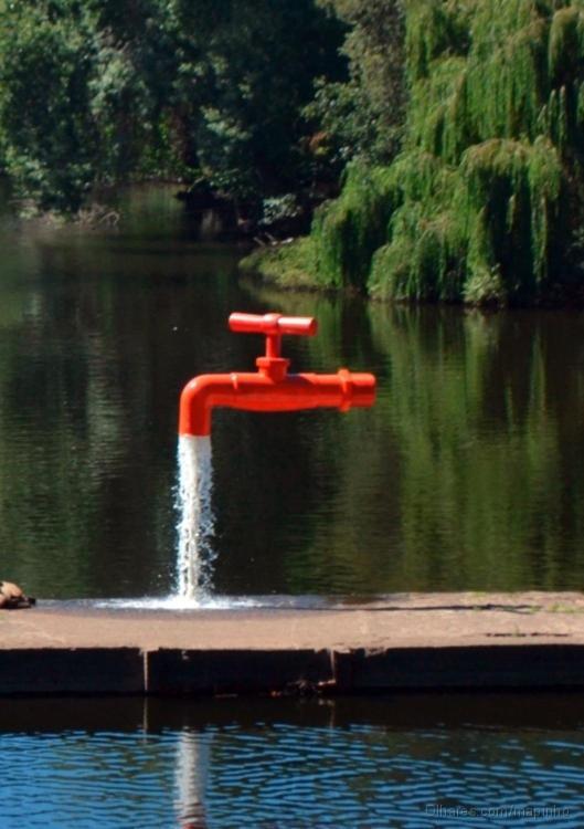 Affittacamere Casa Pinho São Pedro do Sul Esterno foto