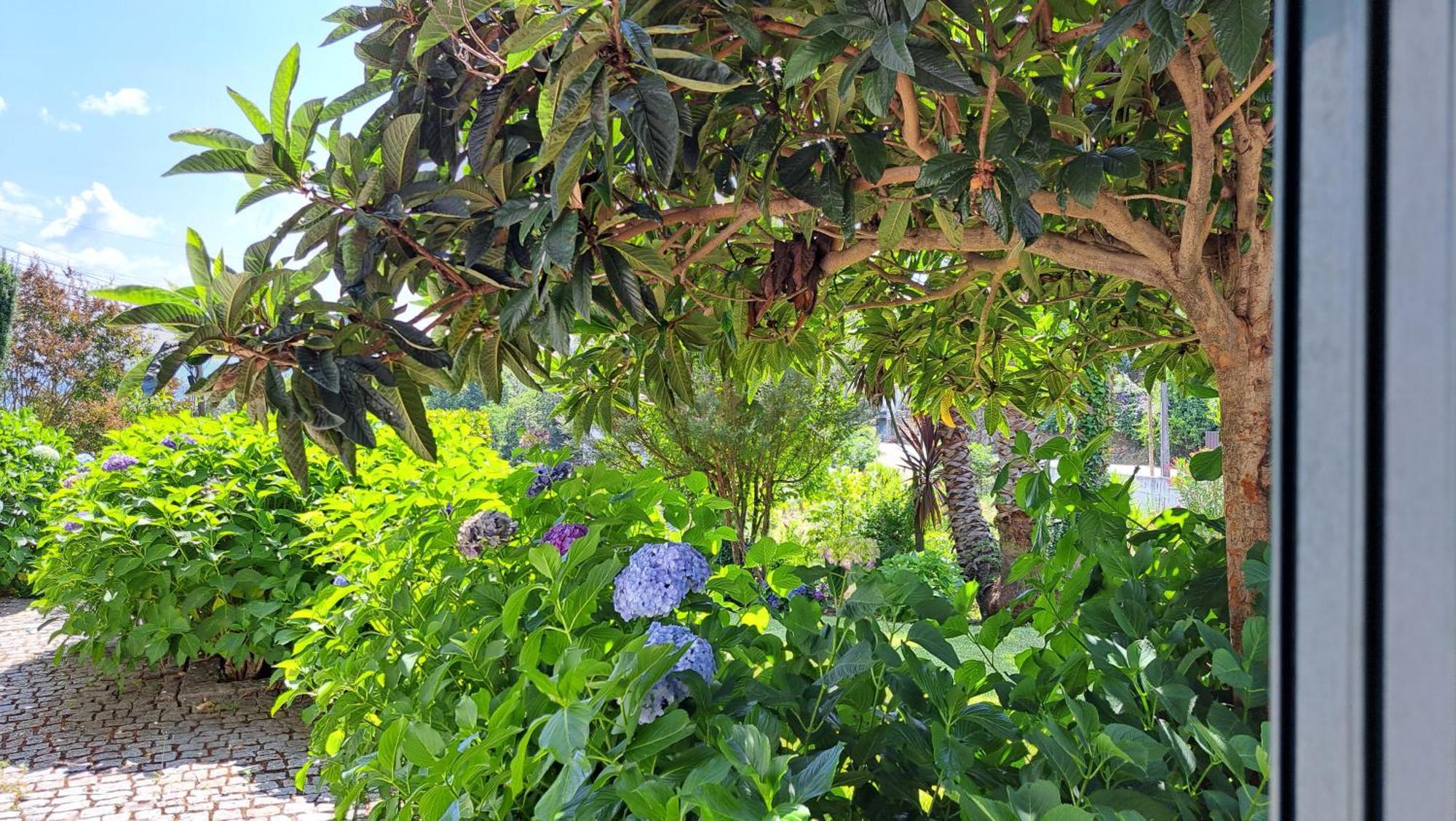 Affittacamere Casa Pinho São Pedro do Sul Esterno foto